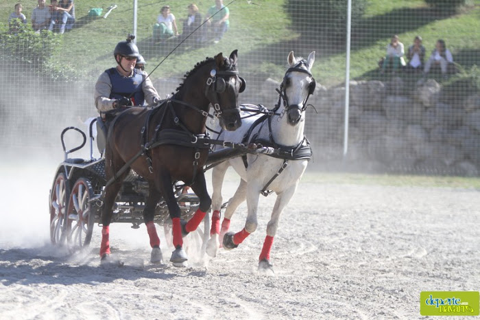 Exhibición de Enganches en el XXII Día del Deporte